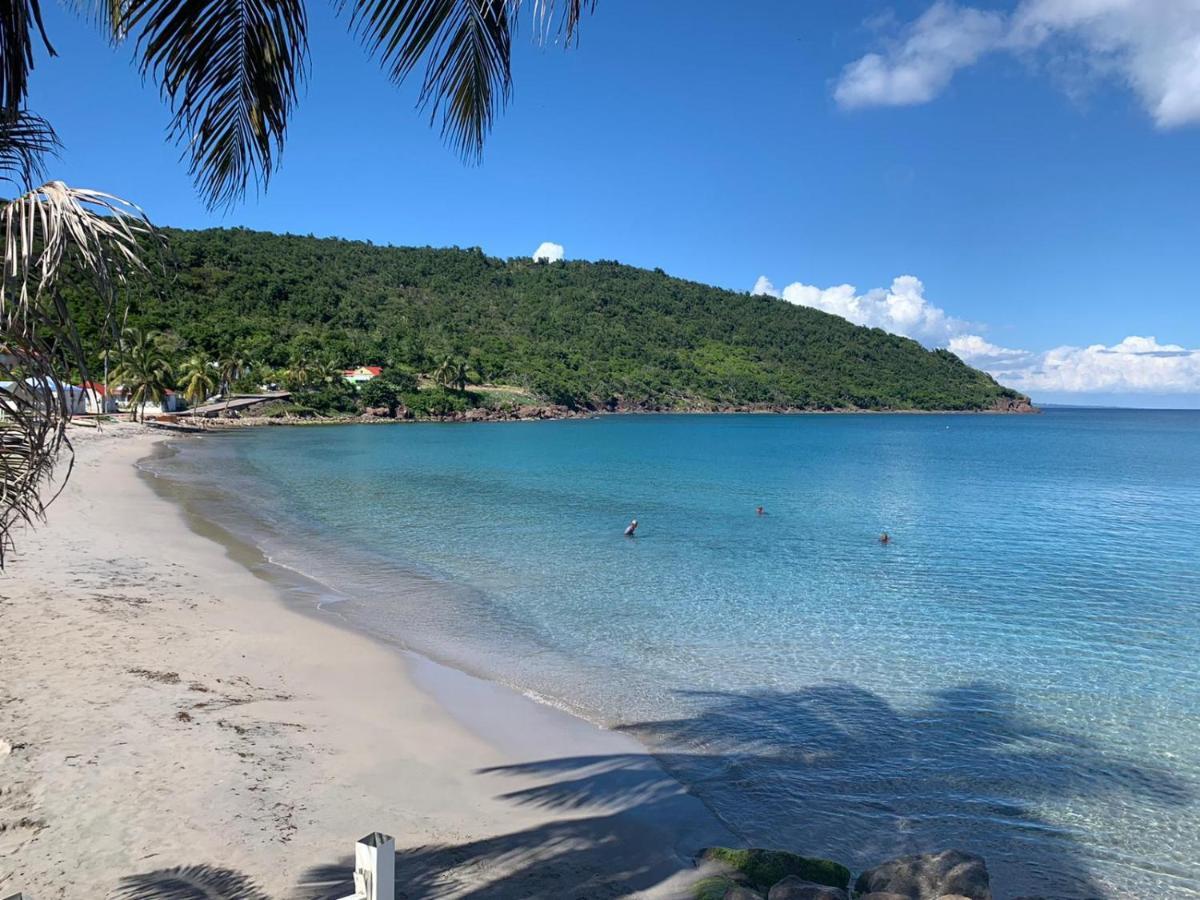 Ti Kaz Anoli Cottage En Bois Avec Vue Sur La Baie Terre-de-Bas Exterior foto